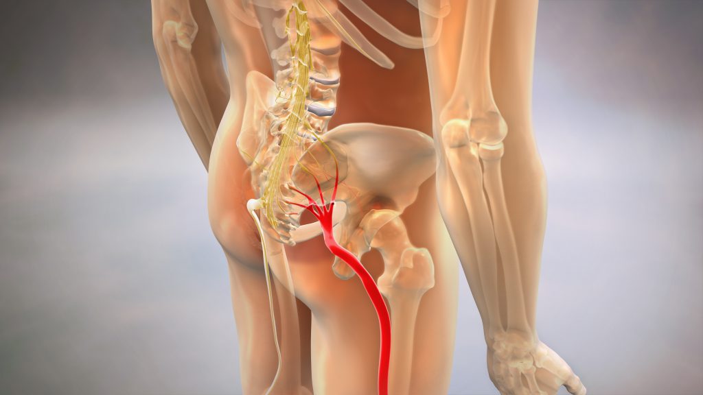 That Hip Pain Could Actually Be a Sciatica Problem: Healthy Life