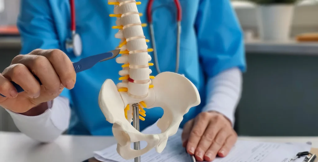 Spine specialist pointing to a spine model with a pen