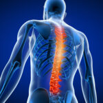 3d rendered medically accurate illustration of a man having back pain and looking for the source.