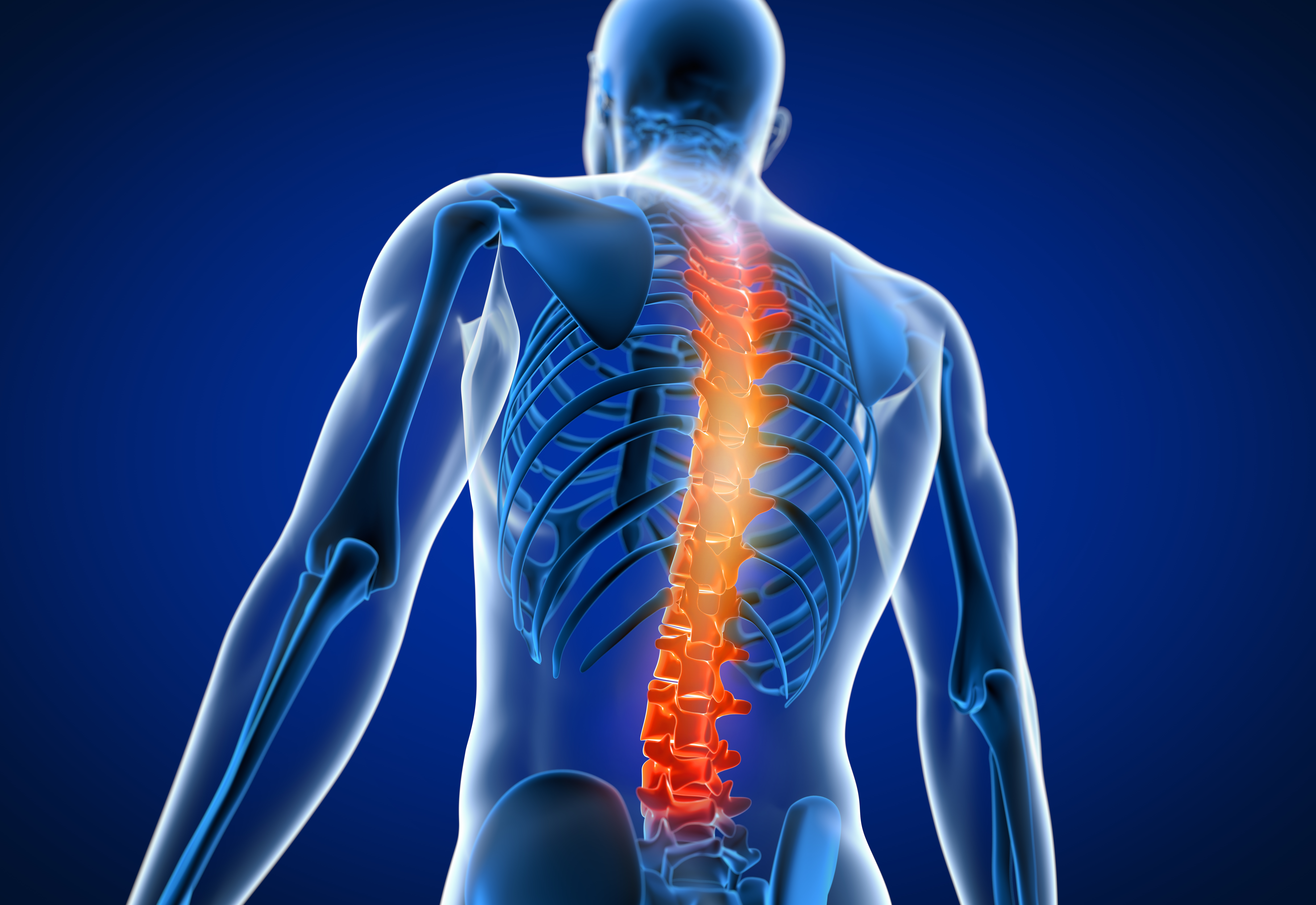 3d rendered medically accurate illustration of a man having back pain and looking for the source.